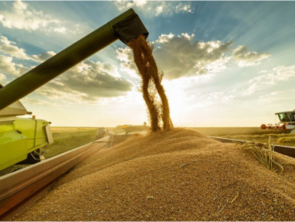 Ein Landwirtschaftsgerät bei der Weizenernte